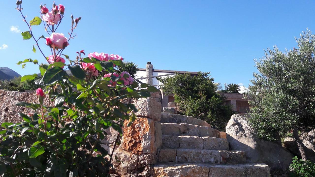 Villa Treglia B&B フォルミア エクステリア 写真